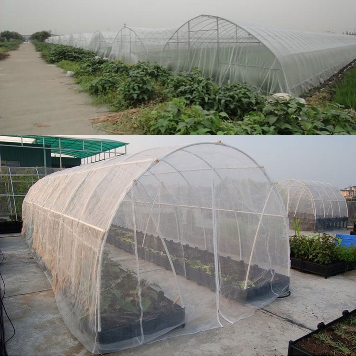 PROTECT SEEDLINGS / VEGETABLES / SOFT FRUITS / PLANTS / PONDS BRAND NEW CAN BE CUT TO REQUIRED SIZE 8 x NEW GARDEN NETTING FINE STRONG MESH EACH 2m x 10m