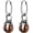 Brown, variant on Dragon Claw Dangle Drop Earring for Women Men Stainless Steel Lightweight Hypoallergenic Crystal Ball Hinged Hoop Earring Party Wedding Jewelry Gift