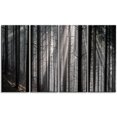 thumbnail image 2 of Sunbeams Peeking Through Dark Forest - Forest Canvas Art Print, 2 of 3