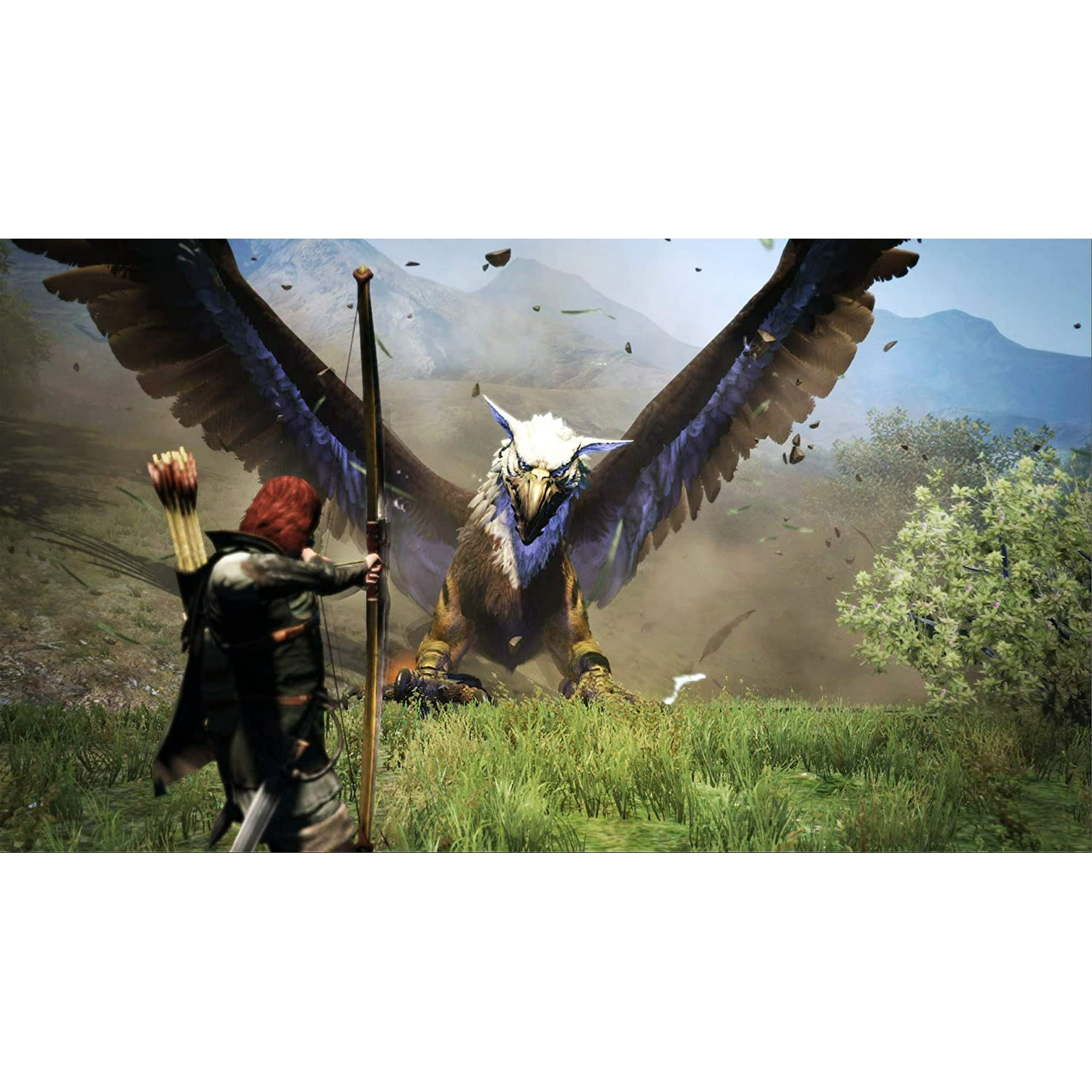 Dragon S Dogma Dark Arisen Nintendo Switch Walmart Canada