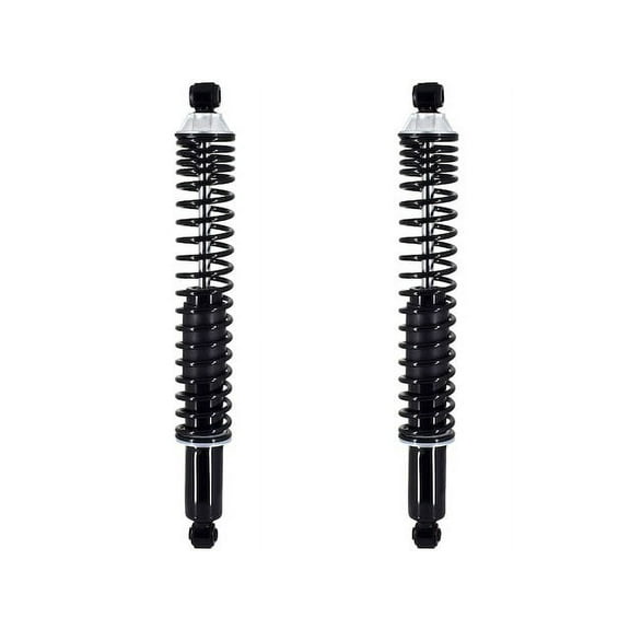 Rear Shock Absorber and Coil Spring Assembly - Compatible with 1985 - 1996 Ford F-150 1986 1987 1988 1989 1990 1991 1992 1993 1994 1995