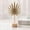 Gold D, variant on EWASWON Ginkgo Biloba Leaf Decor Gold Metal Sculpture Scandinavian Modern Minimalist Shelf Decor Entryway Table Accent Housewarming Gift