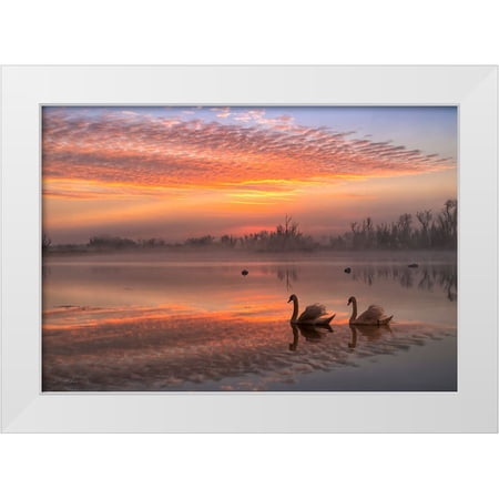 An, Anna 14x11 White Modern Wood Framed Museum Art Print Titled - Rosy Romance
