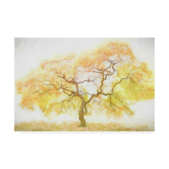 Trademark Fine Art 'Golden Tree Yellow' Canvas Art by PHBurchett