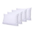 thumbnail image 1 of 6D Pillow (16 x 26) Set of 4 Pillow Inserts for Decorative Bed Pillow Inserts Shams - Down Alternative Fill- By Splendid, 1 of 5