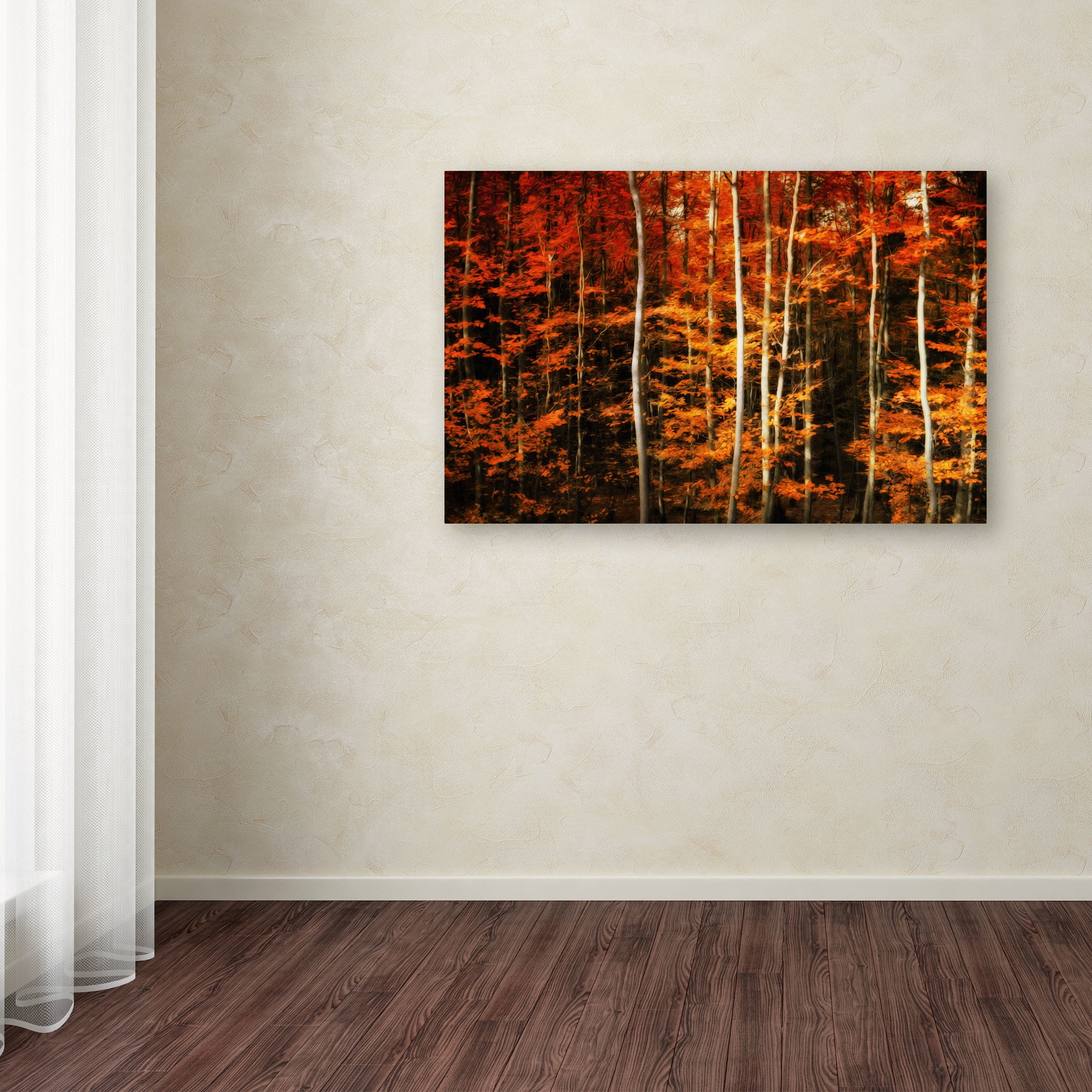 Trademark Fine Art "Still Painting" Canvas Art by Philippe Sainte-Laudy