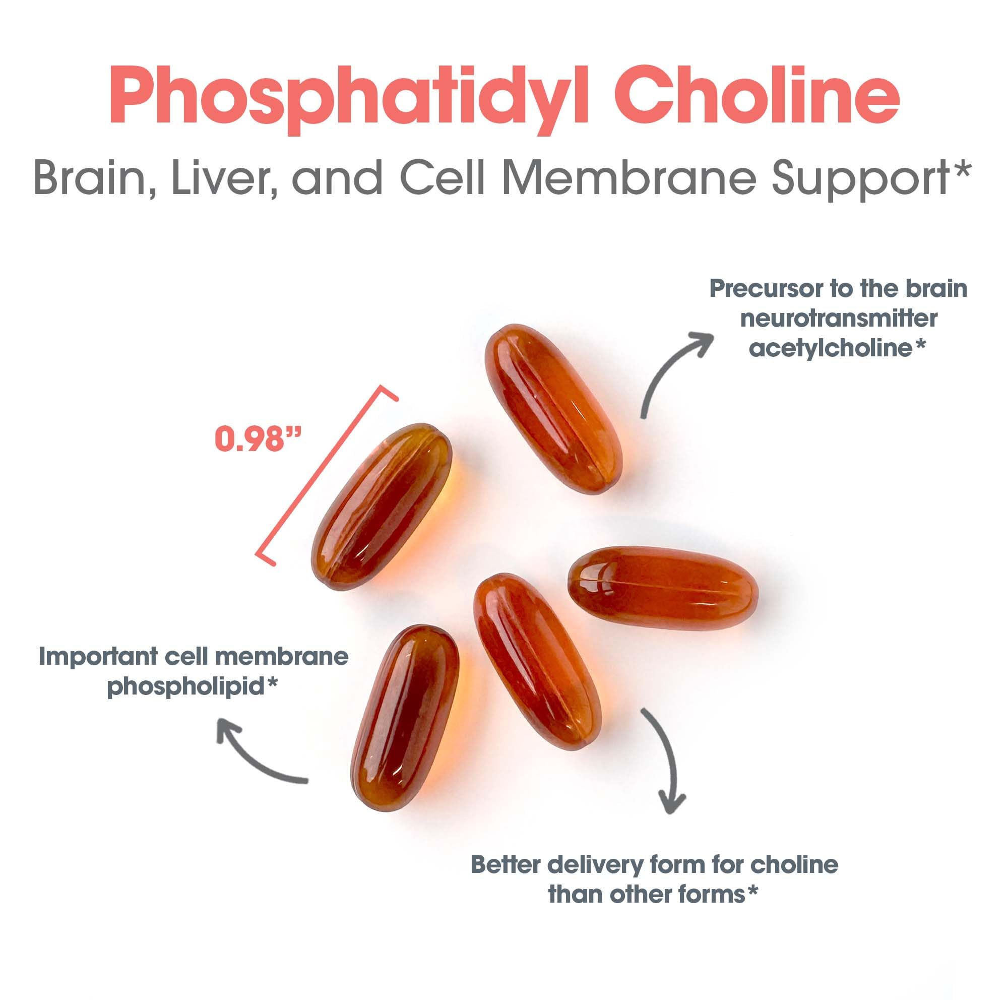 ARG Phosphatidyl Choline - 385 mg Phosphatidylcholine Lecithin - Brain, Liver & Cell Membrane Support - Softgel Capsules - Soy-Based Supplement - 100 Servings - 100 Count