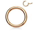 thumbnail image 2 of Segment Hoop Ring Anodized IP Hinged Multi Use 16G or 14G, 2 of 8