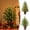A, variant on 4 Ft Pre Lit Cypress Christmas Tree, Artificial Christmas Tree with 100 Warm White Twinkle LED Lights, Realistic Faux Greenery, Small Christmas Tree Decor for Mantel Entryway Table Home