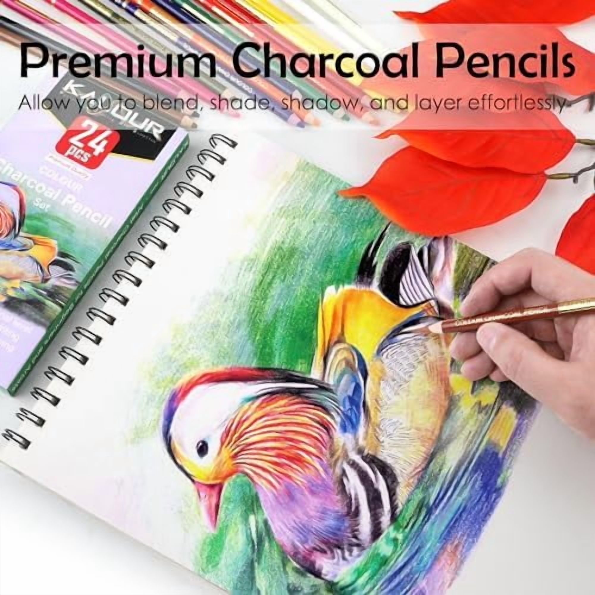 24 Premium Colored Charcoal Pencils Drawing Set, Quality Pastel Chalk Pencils, Skin Tone Colored, for Coloring, Sketching, Drawing, Layering & Blending for Beginners & Artists$$Art & Craft