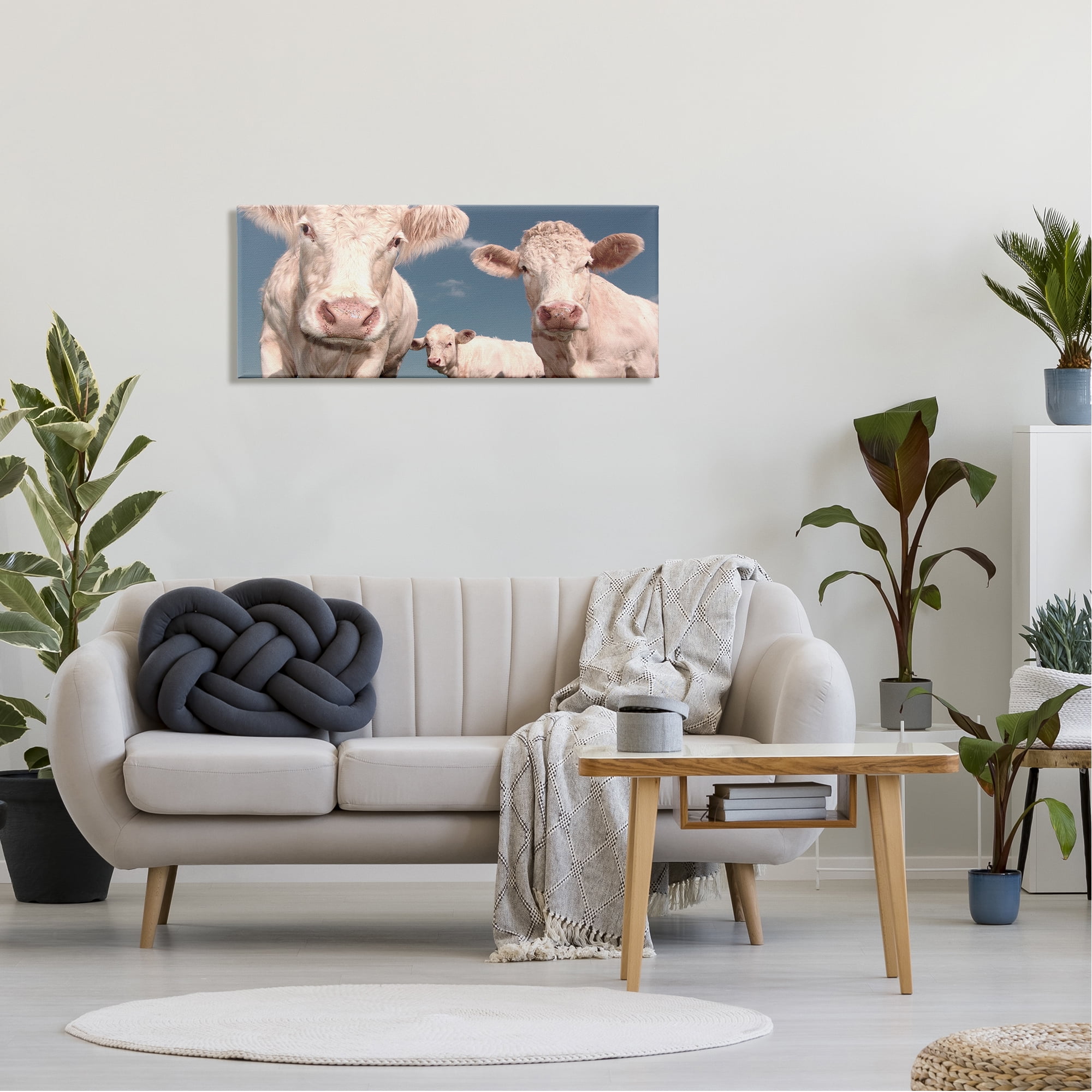 Stupell Industries Three White Cows Animals & Insects Photography Gallery Wrapped Canvas Art Print Wall Art, 40 x 17