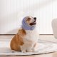thumbnail image 5 of Sudadera con capucha para calmar los oídos, sin sacudidas, para hematomas, ruido, cubreorejas para ansiedad, cubreorejas para perros para peluquería, 5 of 6