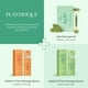 thumbnail image 3 of Set de herramientas faciales PLANTIFIQUE Jade Roller y Gua Sha, 3 of 6
