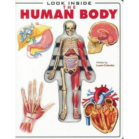 Pre-Owned Look Inside: The Human Body (Hardcover) 1607100673 9781607100676
