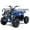 Blue, variant on Tao Motor D125 107 Cubic Centimeters ATV
