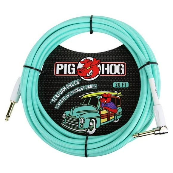 Ace Products Group  Woven Jacket Tour Grade Instrument Cable, 20 ft. Right Angle - Seafoam Green