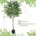 thumbnail image 5 of Artificial Ficus Silk Plants, 6FT Faux Plastic Ficus Tree in Pot with Durable Plastic Trunk, Fake Plant for Home Decor Office House Living Room Indoor Outdoor, 5 of 10