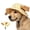 Yellow, variant on Outdoor Sun Hat for Pets, Adjustable Dog Bucket Hat with Ear Holes, Breathable Sun Protection Cap for Small Medium Large Dogs & Cats, Beach Walking