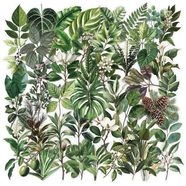 Pegatinas de vinilo con forma de hojas verdes, impermeables, estilo anime, 50 unidades/lote
