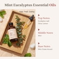 thumbnail image 2 of Aceite esencial Auelife de menta y eucalipto 118 ml para difusores, 2 of 7