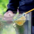 thumbnail image 1 of unbranded 2Ud Accesorio Acuario Comb Transparente Para Optimizar Y Separar Peces Sin Derrames, 1 of 7