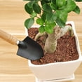 thumbnail image 3 of 3-Piece Mini Garden Tool Set Bonsai Claw Rake Shovel Wooden Handle Handheld Tool, 3 of 5