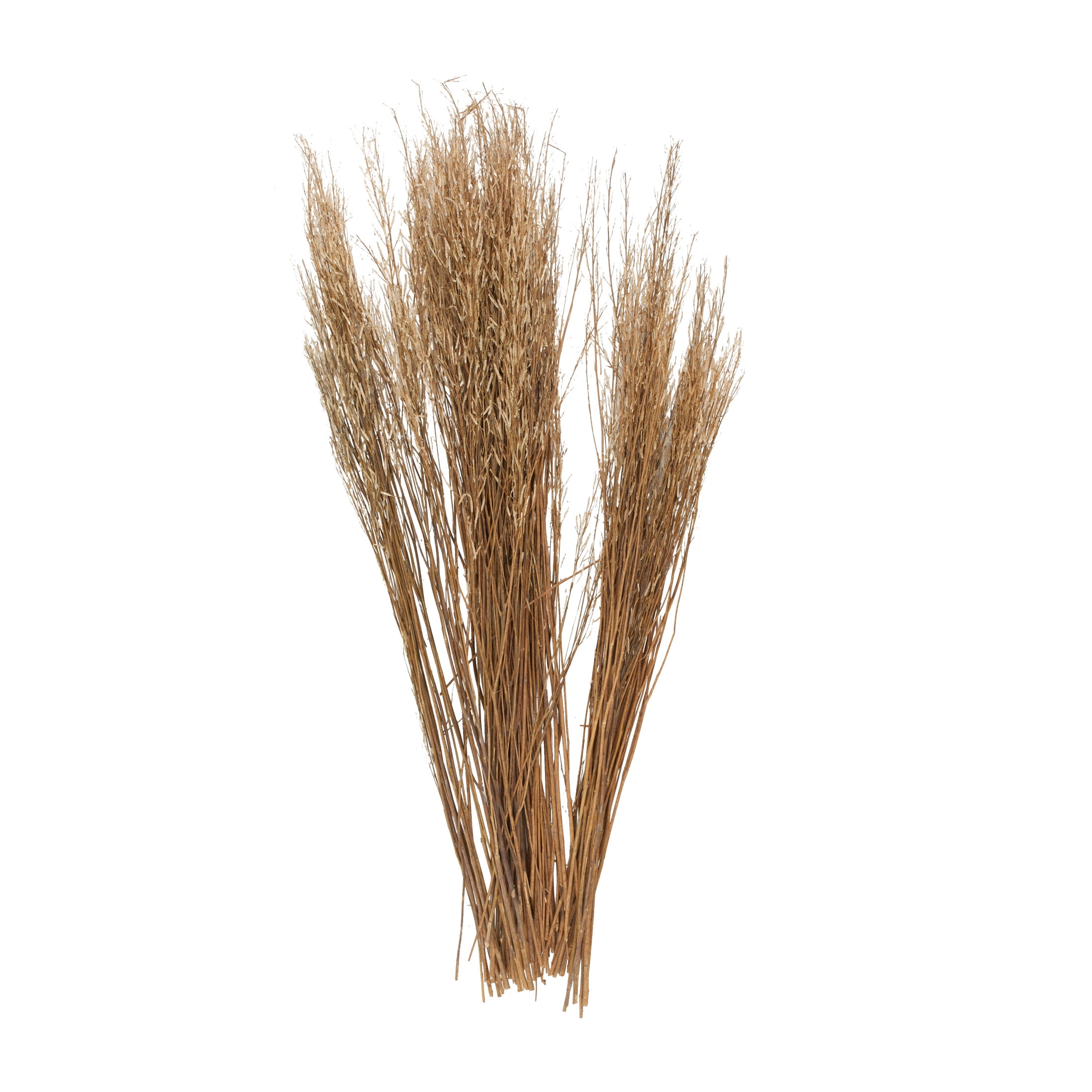 42" Tall Sticks Dried Plant Natural Foliage Bouquet with Grass, by DecMode