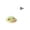 A001- Green, variant on Cat Toy, Electric Automatic Rotating Butterfly Teaser with Tortoise Shell Design, Interactive Toy for Cats to Relieve Boredom - Yellow