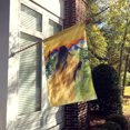 thumbnail image 2 of Carolines Treasures SS8318CHF Briard Flag Canvas - House Size, 2 of 4