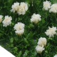 thumbnail image 7 of Micro Landscape Colorful Scenic Bushy Violet Bushes Building Model Kits Tuft Miniature Vegetation Shrub Handmade Grass :35 Model Railway Layout Mastiff, 7 of 7