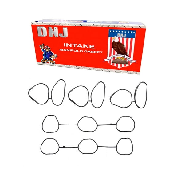 DNJ IG315 Intake Manifold Gasket Fits Cars & Trucks 00-05 Saturn L300 LS2 3.0L V6 DOHC 24v