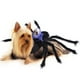thumbnail image 1 of De Halloween Ajustable Mascota Halloween Pecho Espalda Simulación Araña Transformación Disfraz sonducket HA044312-03, 1 of 6