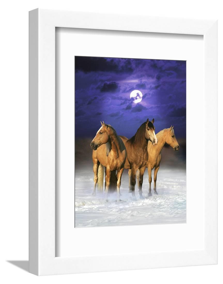 Dream Horses 077 Framed Print Wall Art By Bob Langrish Sold By Art Com 