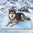 thumbnail image 3 of Deago Summer Dog Cooling Mat, Washable Ice Silk Self Cool Pad for Small Medium Large Dogs and Cats, Pet Sleeping Pad for Crate, Bed, Indoor & Outdoor Floor, Car Seats, 3 of 9