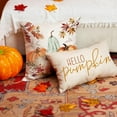 thumbnail image 5 of Fall Pillow Covers 20x20 inch Set of 2 Orange White Pumpkin Fallen Leaves Decorative Outdoor Throw Pillow Covers Autumn Thanksgiving Farmhouse Decoration for Home Couch 27, 5 of 6