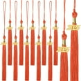 thumbnail image 5 of Harlier 10 Pieces 2025 Graduation Cap Tassel With Year Gold Charms Decoration - Graduation Season Accessories for Graduate Hat Ceremonies, 5 of 9