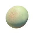 thumbnail image 1 of JNHKLASR Large Dumpling,Steam Bread Stress Relieving toy,Handmade Pressure Reducing toy,for Desk Decor Or Gift, 1 of 5