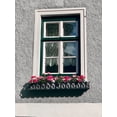 thumbnail image 2 of Susan Vizvary Photography 15x18 Black Ornate Wood Framed with Double Matting Museum Art Print Titled - Green Window Flowerbox Black and White, 2 of 4