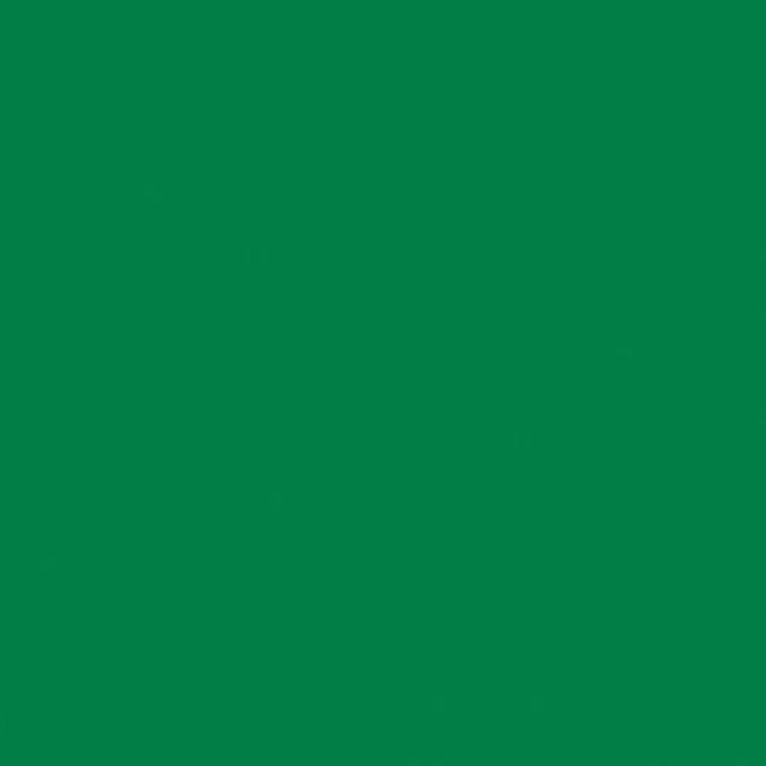 AMACO Permoplast Modeling Clay, Green, 1 lb. Per Box, 3 Boxes