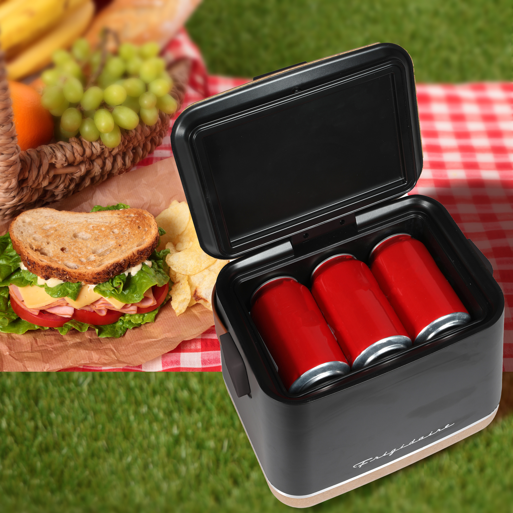 Frigidaire, EFMIS310 Portable Insulated Fridge,  Black, 10.75” x 7.99” x 9.49”