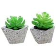 thumbnail image 1 of 2 uds mini bonsái suculento flor de simulación creativa decoración artificial del hogar planta de simulación, 1 of 5