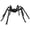 Black Halloween Spider Decor#1, variant on Halloween Glowing Spider, Light Up Black Hairy Spider With Glowing Red Eyes, LED Giant Spider Prop For Halloween Indoor Outdoor Night Decoration (Black)