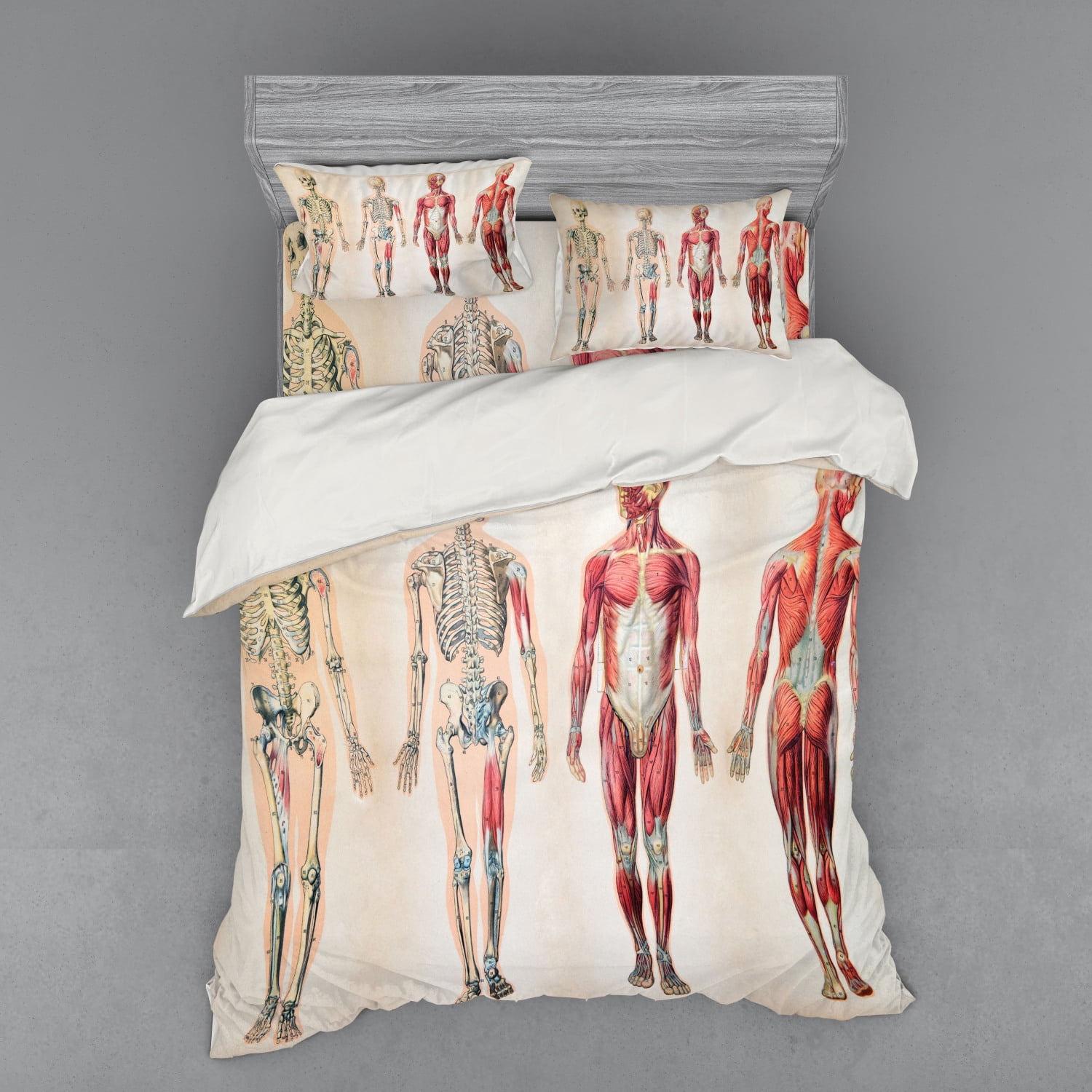 Ambesonne Vintage Bedding Set 4 Pcs, Anatomy Human Body, Queen, Ruby ...