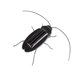 thumbnail image 1 of Juguete modelo cucaracha Zulema simulación de animales con energía solar, 1 of 7