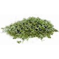 thumbnail image 3 of Microplane Herb Grinder and Leaf Stripper Seasoning Herb Mill (Green), 3 of 5
