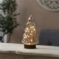 thumbnail image 1 of Lighted Glass Christmas Tree with Red Berries and Branch Tabletop Lantern, 1 of 1
