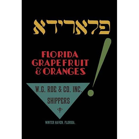 Florida Grapefruit and Oranges Museum quality giclee print canvas wrap(20" x 30")