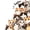 Colorful 2, variant on jejeloiu Hello Cat Twin Sheet Sets Kids,Cute Print Bedding,3pcs