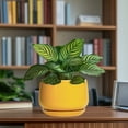 thumbnail image 7 of Ordivic 7 inch Yellow Ceramic Plant Pot with Drainage Hole & Saucer, Medium Indoor Outdoor Planter for Snake Plant, Pothos, Small ZZ Plant,Porch,Desk, 7 of 7