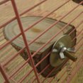 thumbnail image 4 of Flmtop Pet Parrot Wood Platform Stand Rack Toy Hamster Branch Perches for Bird Cage Brown, 4 of 6